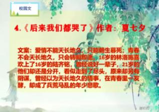乐高都市卧底风云