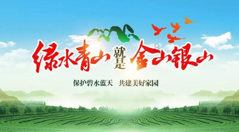 河南淅川：丹江湿地成为候鸟栖息乐园