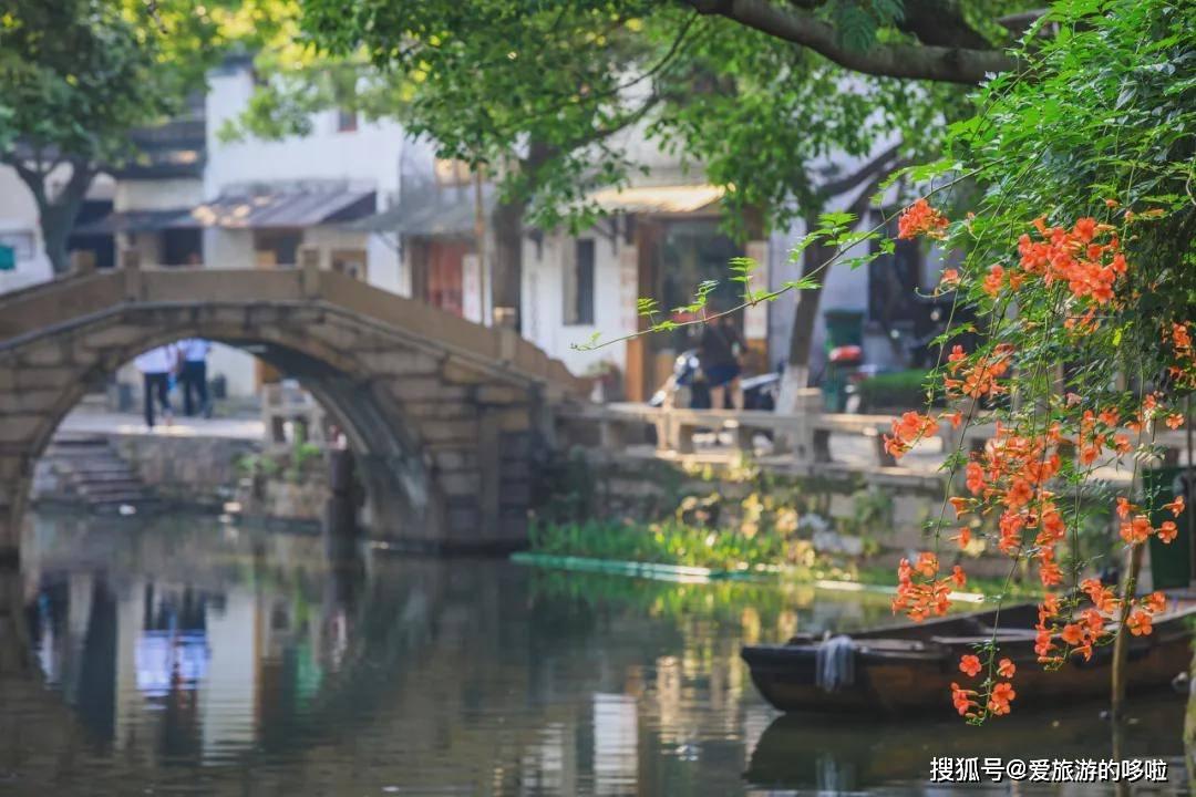 杨志刚:兄弟四个,被三哥“强捧”13年,大姑竟是自己的亲妈